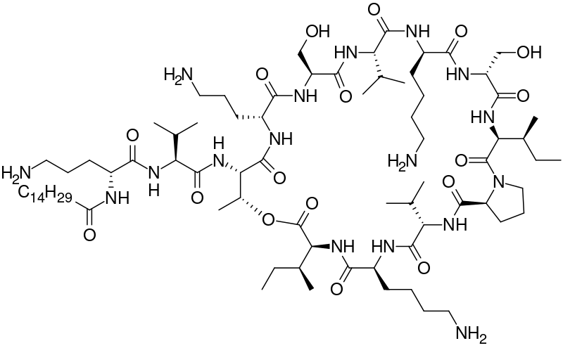 ملف:Paenibacterin.svg