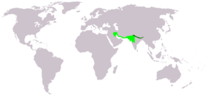 Pycnonotus leucotis leucogenys map editation 1.png
