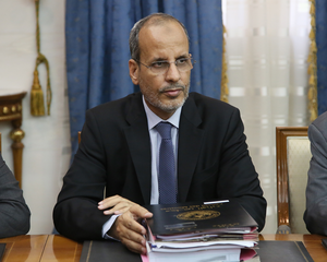 محمد ماء العينين ولد أييه