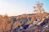 Foret Fontainebleau automne 02.jpg