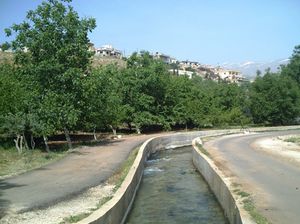 بيت سابر.jpg