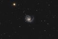 Image of Messier 99 taken by an amateur telescope.