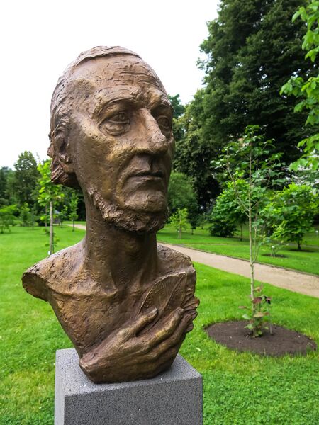 ملف:2018-06-18-bonn-meckenheimer-allee-169-botanischer-garten-esenbeck-03.jpg