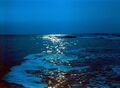 The night sea off the coast of the Dzhankhot