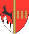 درع مقاطعة Neamț