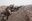 US Navy 080802-M-1341G-104 Hospitalman Apprentice Brian Rumbles, assigned to Golf Company, 2nd Battalion, 7th Marine Regiment, fires on two Taliban insurgents fleeing up a mountainside.jpg