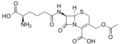 Cephalosporin C