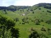 Schwarzwald 1.jpg
