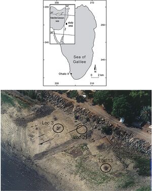 Location map of 23,000-Years-Old Ohalo II, Israel.jpg