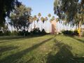 متنزه البيضويه - جبله