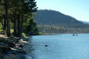 Geese on North Tahoe Beach in the morning, Tahoe Vista, 2011.jpg