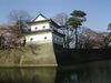 Shibatajo003.JPG