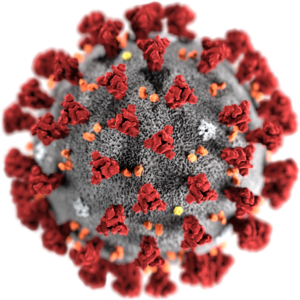 Illustration of a SARS-CoV-2 virion