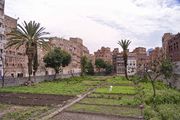 صنعاء القديمة
