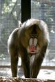 At the Milwaukee County Zoological Gardens