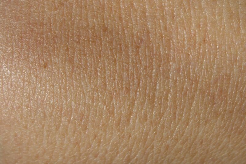 ملف:Image skin texture.jpg