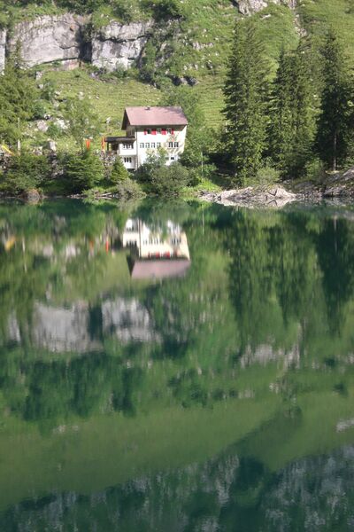 ملف:1142-Seealpsee.jpg