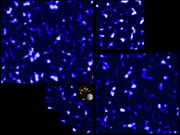 خريطة المادة المظلمة بواسطة مسح العدسات CFHT (CFHTLenS) باستخدام تلكسوب كندا-فرنسا-هاواي (2012).[209][210] (خريطة كوزموس في الوسط)