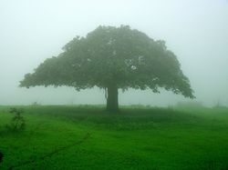 شيحيت-ولاية-طاقة-عُمان.jpg