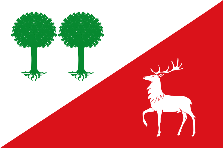 ملف:Bandera de Robleda-Cervantes.svg