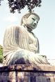 Kotoku-In 2002.jpg