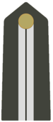 MSVN-Aiutante capo.png