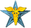 Pharmaciburnstar.png