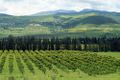 Guelma 2007 0191.jpg