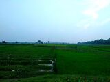 গায়েবী দিঘী 1.jpg