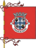 علم Silves