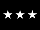 Flag of a Space Force Lieutenant general