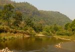 A river flowing through a forested mountain landscape