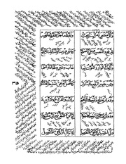 الصفحة التالية ←