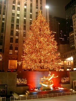 The Rockefeller Center Christmas Tree