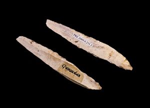 Two Gravette points، أداة مميزة للعصر الگراڤتي