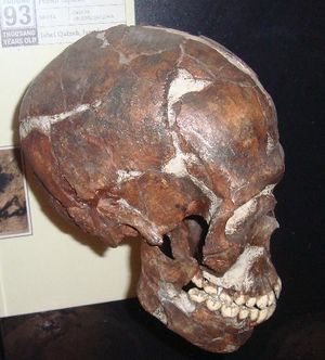 Qafzeh.JPG