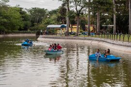 Lagoon in Zoo Park of Barquisimeto