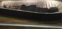 Our Lady of the Nile Mummy - St. Petersburg, FL.jpg