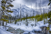 Perfection near Stanley Glacier, Kootenay National Park, British Columbia.tiff