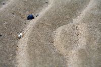 Rippelbildungen am Strand von Spiekeroog.JPG