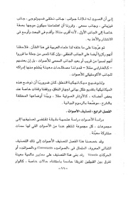 الصفحة التالية ←