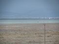 Limassol Salt Lake 8.JPG