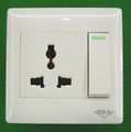A so-called 'universal socket', which meets no standard[1] but is intended to accept a number of different plug types.