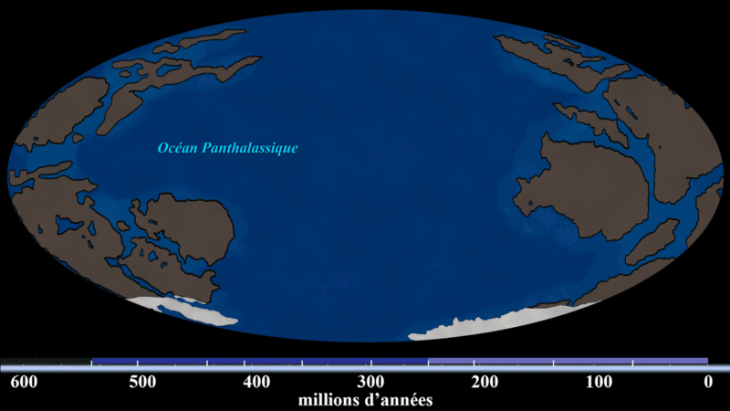 ملف:Continental Drift (740 million-to-Today).gif