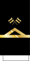 GR-Navy-Ανθυπασπιστής-sleeve.svg
