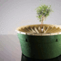Green-tech.GIF