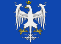 علم Modena and Reggio