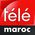 Logotelemaroc.jpeg