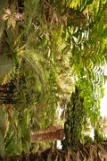 Maroc Marrakech Majorelle Luc Viatour 3.jpg