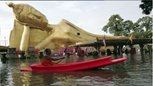 Buz2010.jpg